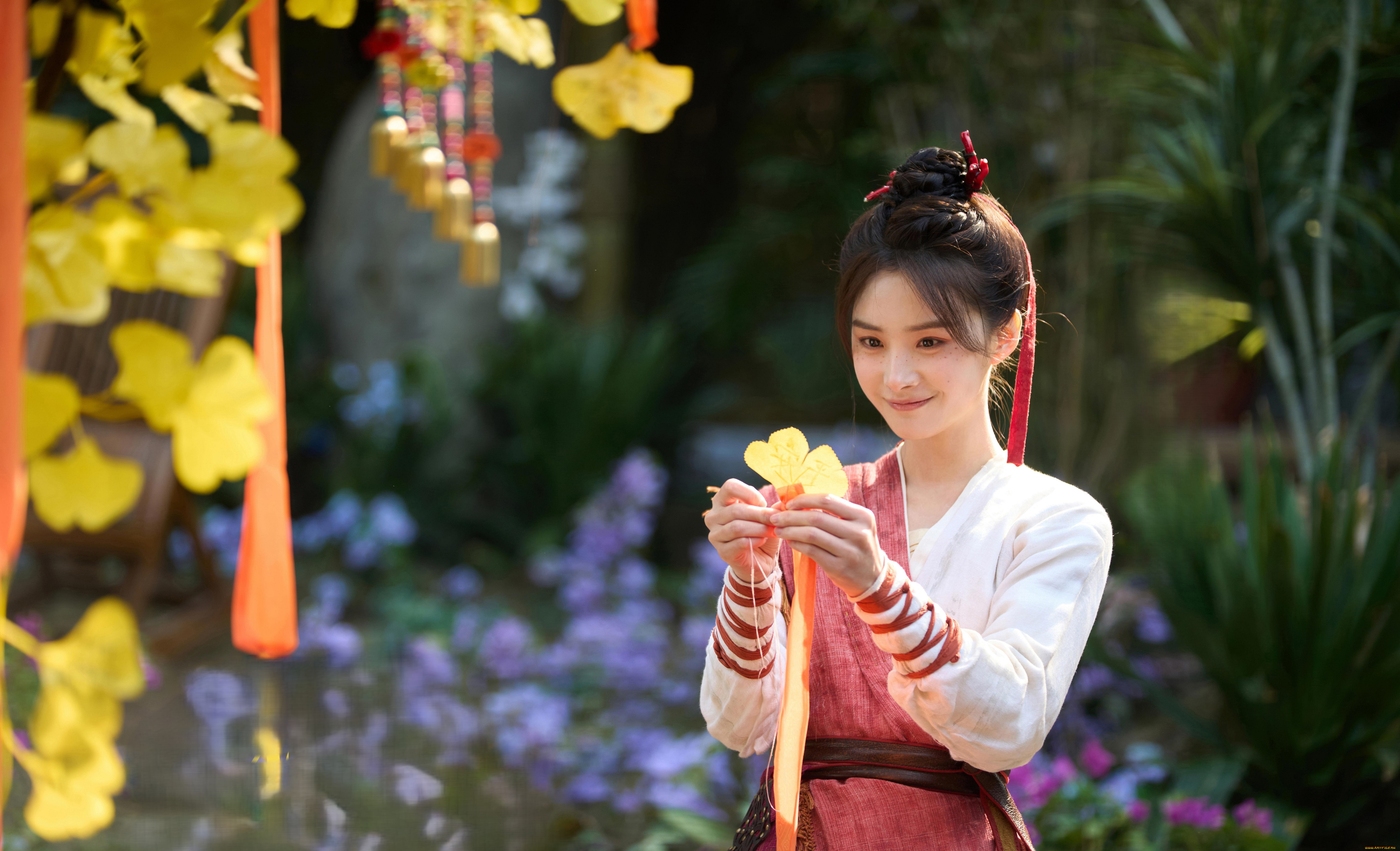  , love of petals, love, of, petals